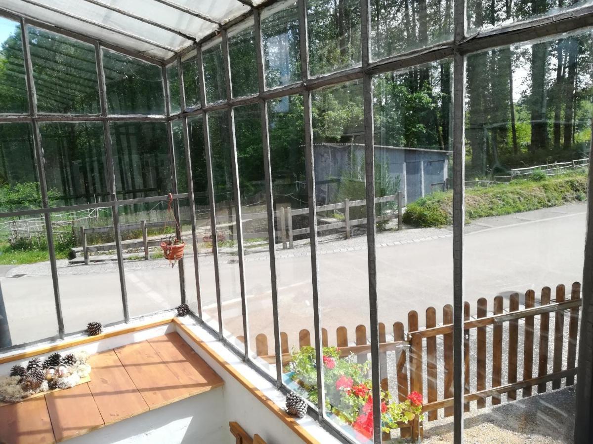Petit Gite Cocoon Ty Bihan Ar Feunteun Scrignac Zewnętrze zdjęcie